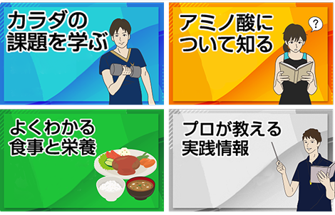 knorr